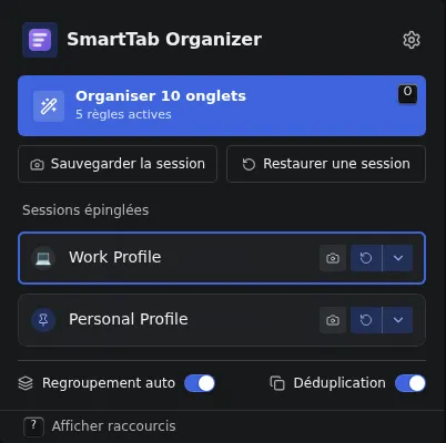 Contenu détaillé de la popup avec statistiques, profils épinglés et accès rapide.