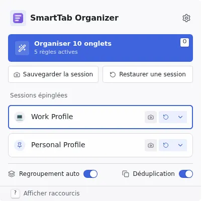Contenu détaillé de la popup avec statistiques, profils épinglés et accès rapide.